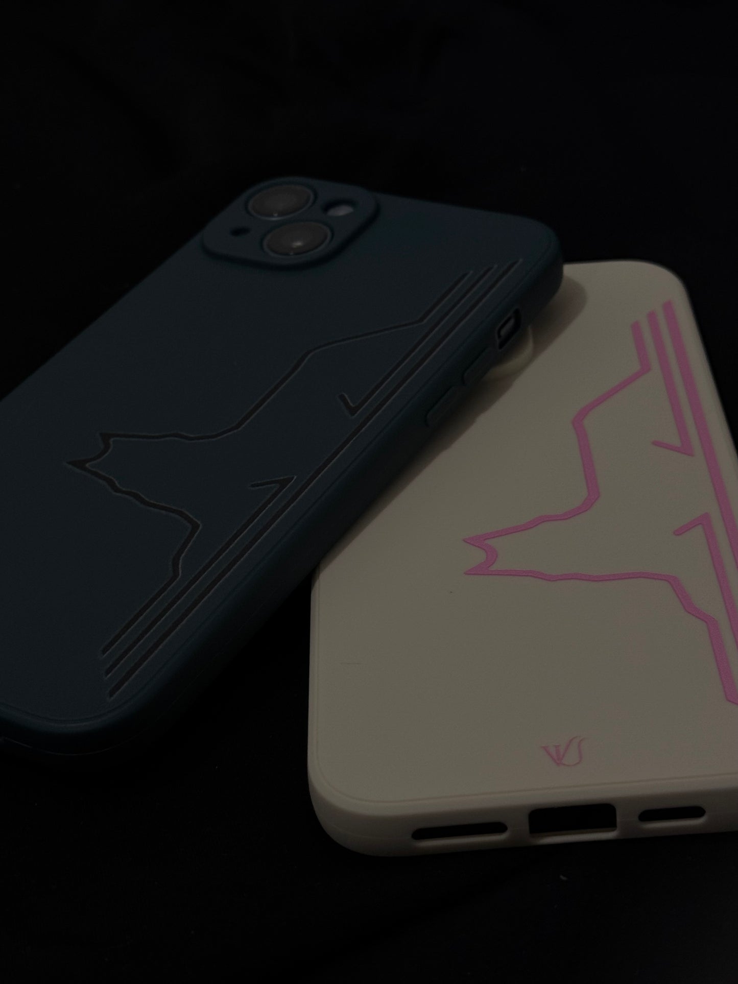 Borz case
