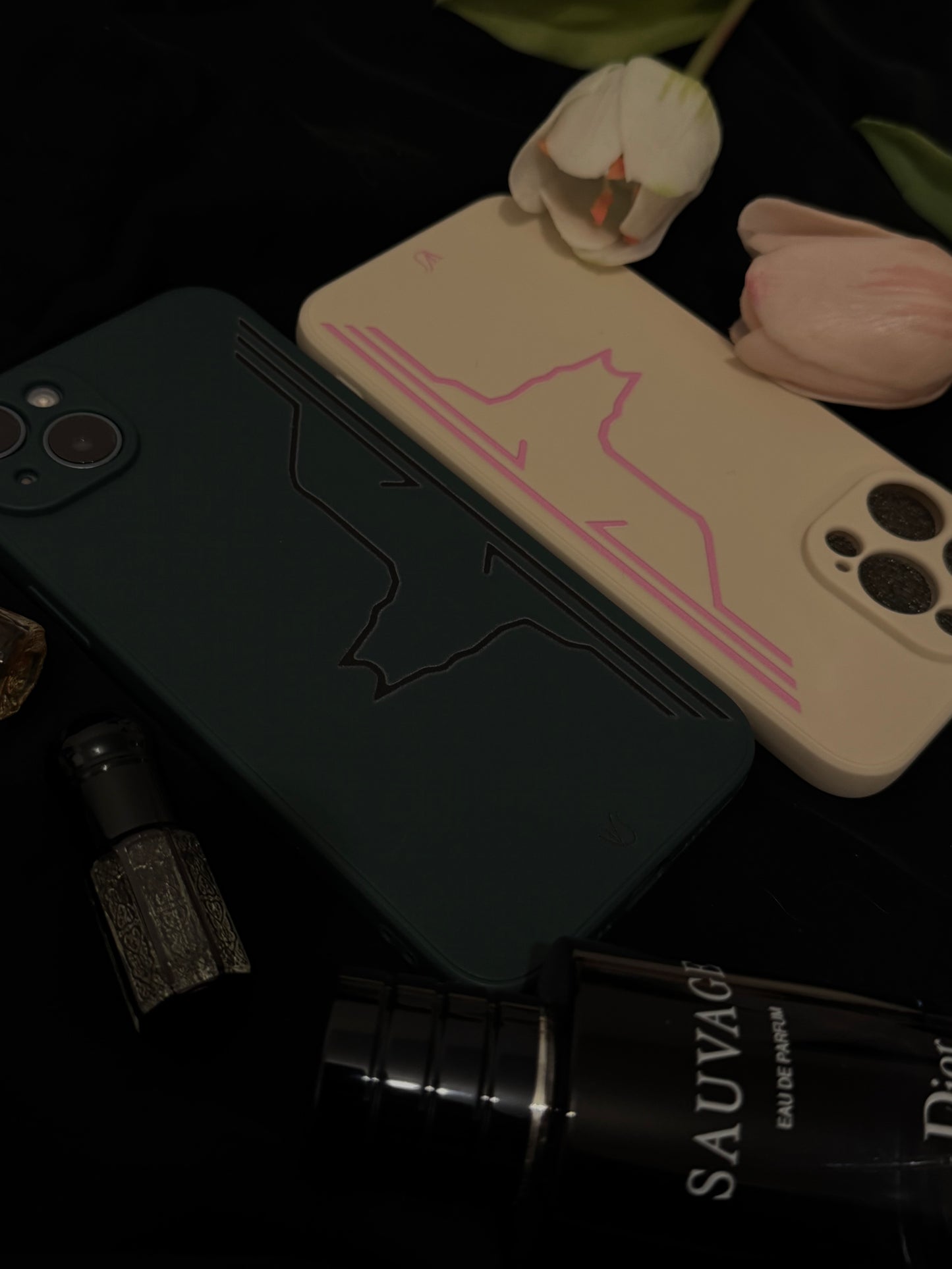 Borz case
