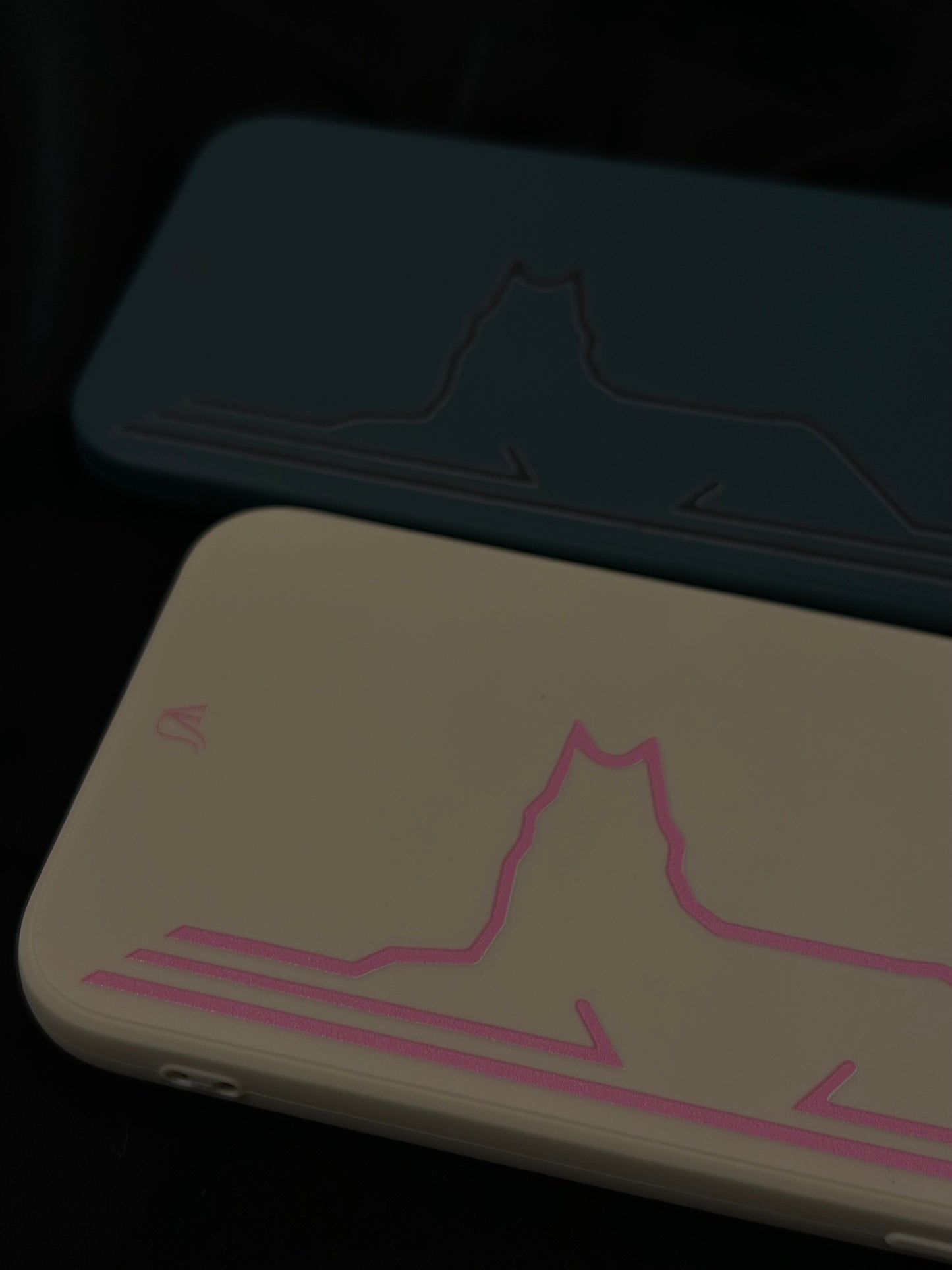 Borz case